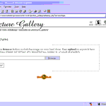 Picture Gallery